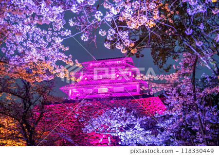 Sakura tunnel with colorful light up and Fukuoka Castle ruins pink Illusion Sakura tunnel with colorful light up and Fukuoka Castle ruins pink Illusion 118330449