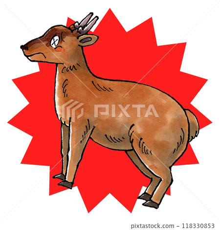 滅絕的麂 118330853