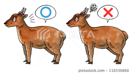 審判虛言套裝 (Marubatsu) 118330868