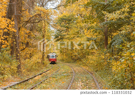 Old red tram moving through yellow autumn deciduous forest, fall landscape, ecological transport 118331032