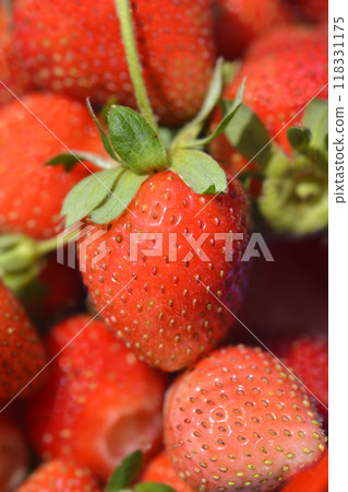 Strawberry close up Strawberry close up 118331175