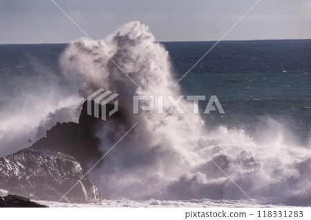 The Pacific Coast The Pacific Coast 118331283