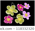 Background with colorful flowers green pink and purple  118332320