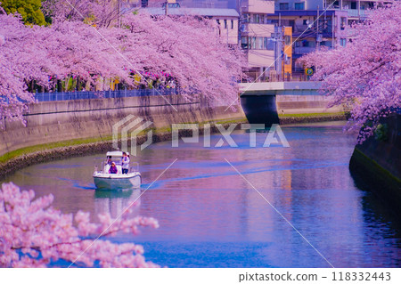 運河上的櫻花與遊船 118332443