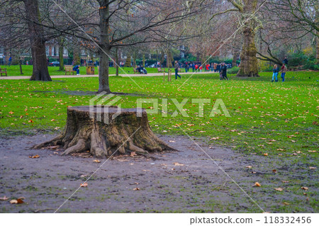 St. James's Park woodland St. James's Park woodland 118332456