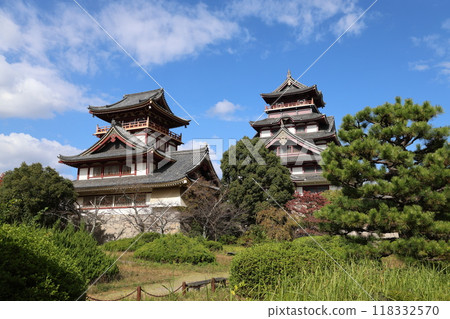 在遠處看到的城堡 118332570