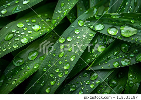 Fresh Green Leaves with Morning Dew Drops Nature's Serenity for Design, Print, Poster Generative AI 118333187