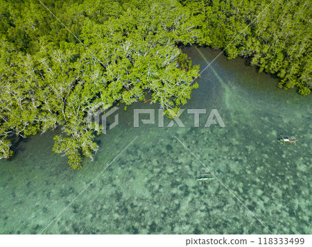 Wetland with boat and mangroves rainforest. Mindanao, Philippines. 118333499