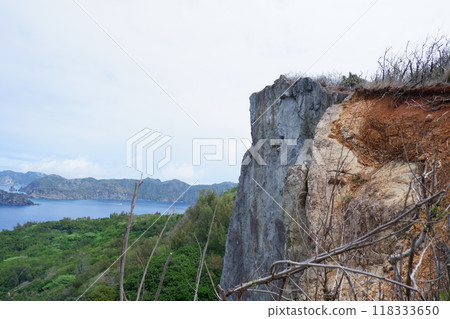 The great nature of Ogasawara The great nature of Ogasawara 118333650