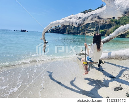 Sea swing Sea swing 118333652
