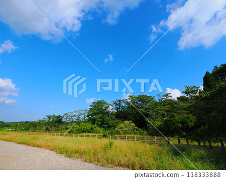 流動的雲彩和藍天 118333888