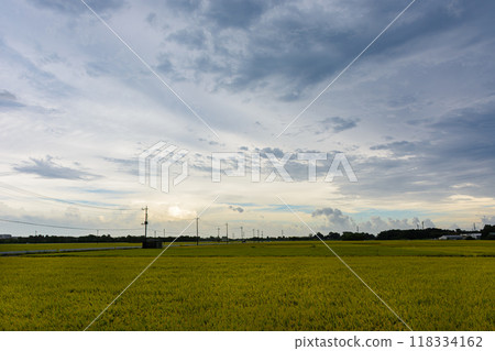 仲夏風景，稻田和雲彩即將迎來惡劣天氣 118334162