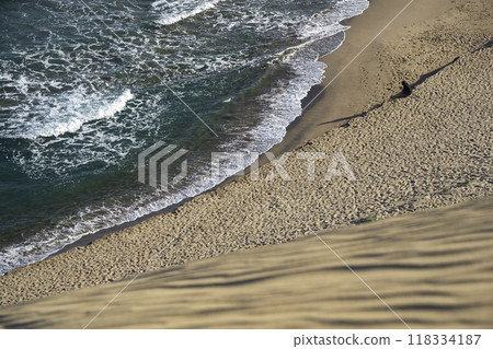鳥取縣的夏天:在鳥取沙丘的馬背上眺望日本海 鳥取縣的夏天:在鳥取沙丘的馬背上眺望日本海 118334187