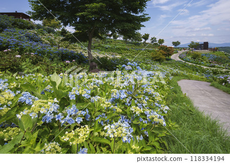 Jupia Land Hirata 118334194