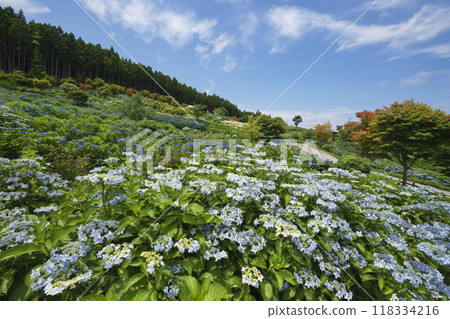 朱皮亞蘭德平田 118334216