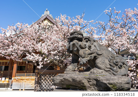 Scenery of the grounds of Yushima Tenjin Shrine in Bunkyo Ward, Tokyo 118334518