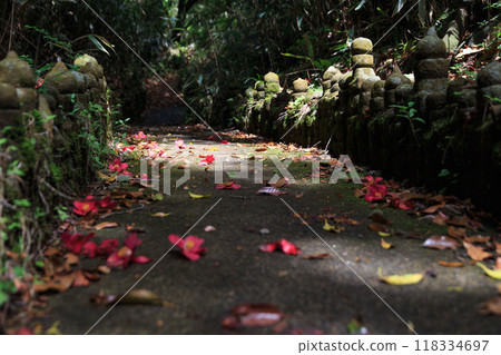 Path with moss-covered pagodas on Mt. Hikane (Atami, Japan) 118334697