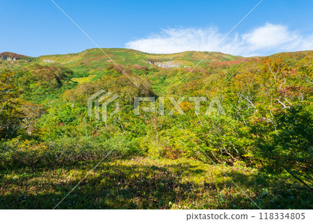 Autumn climbing of Mt. Yakeishi (Tsubunuma Course): View of Mt. Yoko Autumn climbing of Mt. Yakeishi (Tsubunuma Course): View of Mt. Yoko 118334805