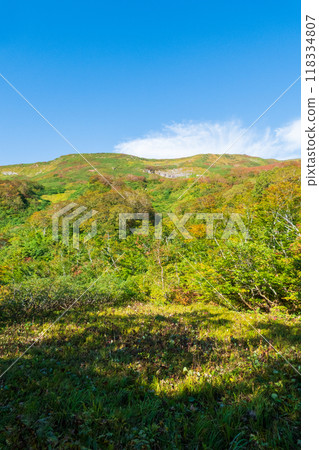 Autumn climbing of Mt. Yakeishi (Tsubunuma Course): View of Mt. Yoko Autumn climbing of Mt. Yakeishi (Tsubunuma Course): View of Mt. Yoko 118334807