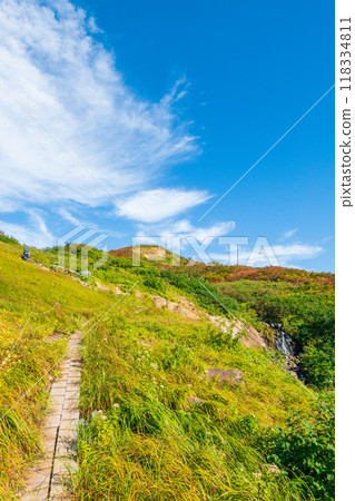 Autumn climbing of Mt. Yakeishi (Ginmeisui refuge hut to Ubaishi-daira) 118334811