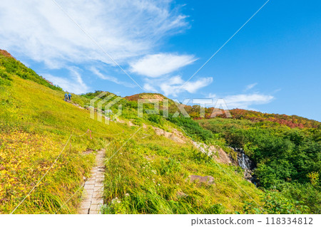 Autumn climbing of Mt. Yakeishi (Ginmeisui refuge hut to Ubaishi-daira) 118334812