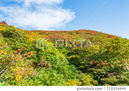 Autumn climbing of Mt. Yakeishi (Ginmeisui refuge hut to Ubaishi-daira) 118334844
