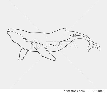 Minimalist Line Art of Humpback Whale 118334883