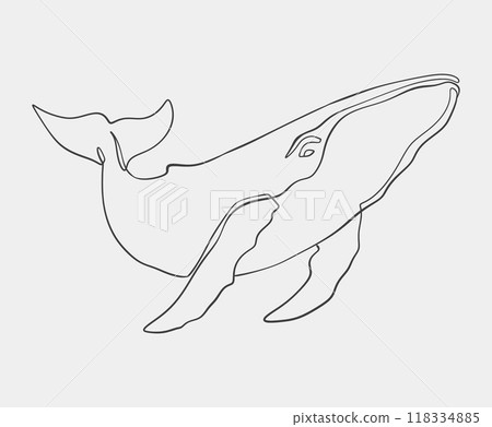 Minimalist Line Art of Humpback Whale 118334885