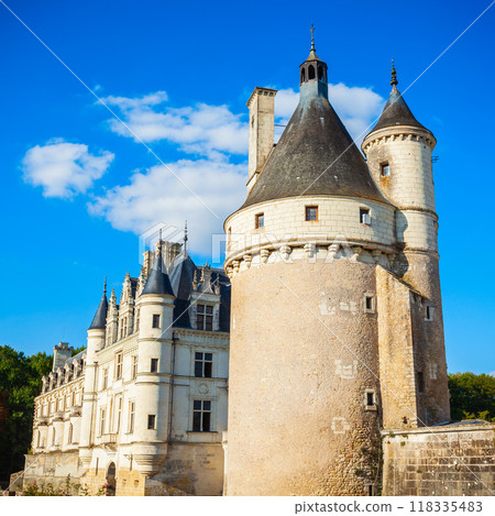 Chateau de Chenonceau castle, France 118335483