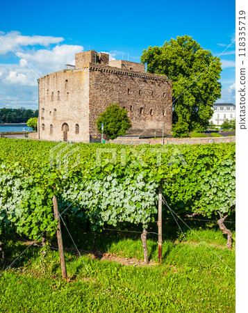 Rudesheim am Rhein Vineyards, Germany Rudesheim am Rhein Vineyards, Germany 118335719