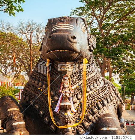Shri Nandi on Chamundi Hills 118335762