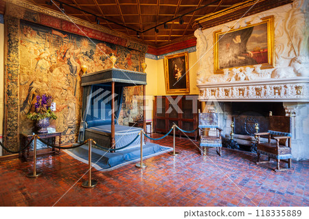 Chateau de Chenonceau castle, France 118335889