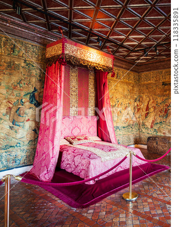 Chateau de Chenonceau castle, France Chateau de Chenonceau castle, France 118335891