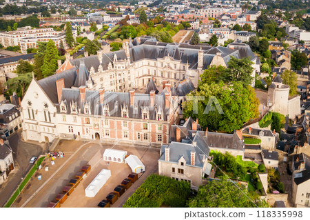 Royal Chateau de Blois, France 118335998