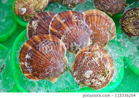 Scallops, scallops, scallops 118336204
