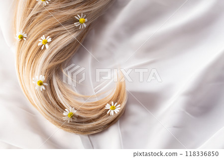 Fresh chestnut flowers and hair isolated on a white background. Hair loss concept. Flat lay. Copy space Fresh chestnut flowers and hair isolated on a white background. Hair loss concept. Flat lay. Copy space 118336850