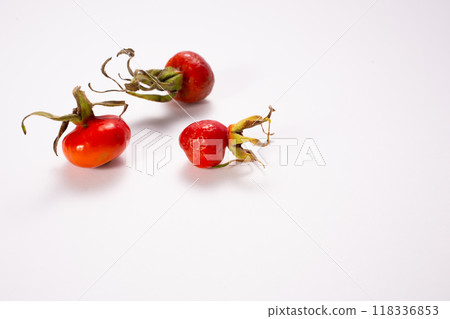Rose hips isolated on white background. Healthy. Copy space. Close up Rose hips isolated on white background. Healthy. Copy space. Close up 118336853
