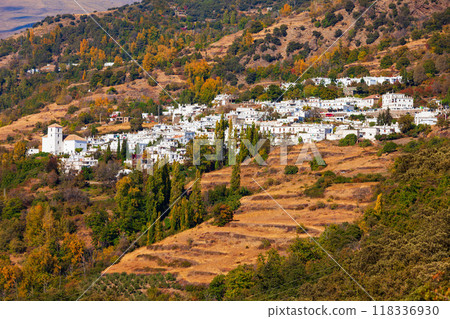 Bubion village aerial panoramic view, Spain 118336930