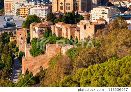 Alcazaba Fortress aerial panoramic view in Malaga 118336957