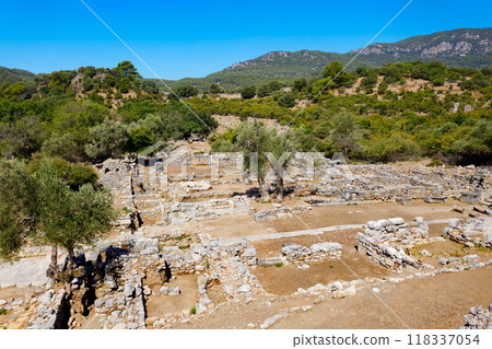 Kaunos ancient city near Dalyan town in Turkey Kaunos ancient city near Dalyan town in Turkey 118337054