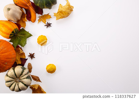Autumn decoration from dry leaves and pumpkins on white background. Flat lay. Thanksgiving, halloween concept. Autumn decoration from dry leaves and pumpkins on white background. Flat lay. Thanksgiving, halloween concept. 118337627