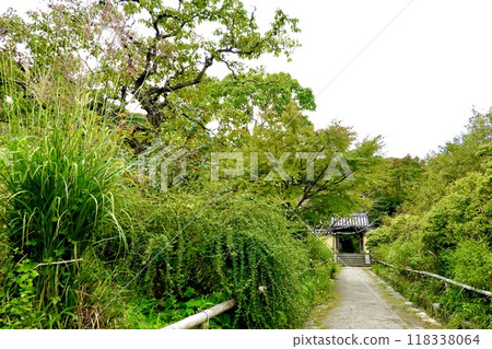 淨琉璃寺 - 京都府木津市加茂町道路上的環境保護地區的自然景觀 淨琉璃寺 - 京都府木津市加茂町道路上的環境保護地區的自然景觀 118338064