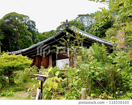 淨琉璃寺 京都府木津川市加茂町,被自然環境包圍的淨琉璃寺主寺景觀 淨琉璃寺 京都府木津川市加茂町,被自然環境包圍的淨琉璃寺主寺景觀 118338103