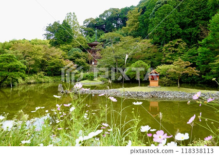 京都府木津川市加茂町,淨琉璃寺,寶池搖曳的波斯國寶三層塔 京都府木津川市加茂町,淨琉璃寺,寶池搖曳的波斯國寶三層塔 118338113