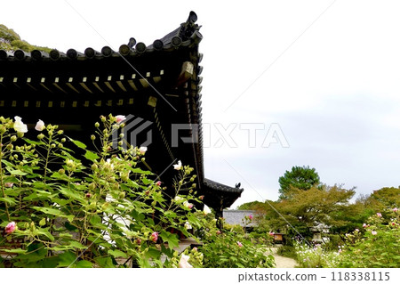 京都府木津川市加茂町 淨琉璃寺，透過水府洋花看真正的屋簷 118338115