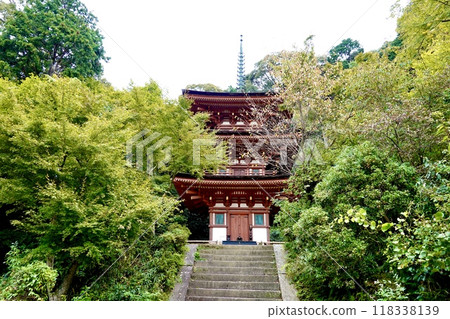 從京都府木津川市加茂町的石階下眺望淨琉璃寺的國寶三層塔 118338139