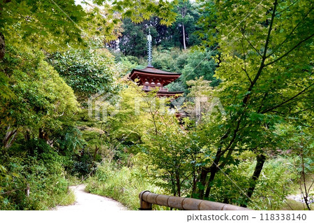 淨琉璃寺，位於京都府木津川市加茂町，在環保地區的豐富自然環境中可見的國寶三層寶塔 118338140