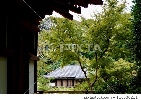 Joruriji Temple: View of the roof of the main hall from under the eaves of the National Treasure three-story pagoda, Kamo-cho, Kizugawa City, Kyoto Prefecture 118338211