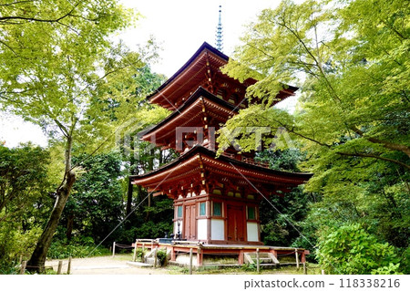 京都府木津川市加茂町,矗立在自然保護區內的國寶三層寶塔淨琉璃寺 京都府木津川市加茂町,矗立在自然保護區內的國寶三層寶塔淨琉璃寺 118338216