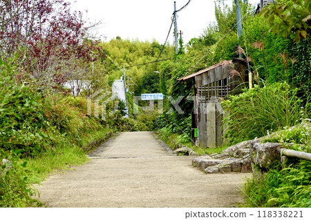 Joruriji Temple: View of the approach from the Joruriji Temple side, Kamo-cho, Kizugawa City, Kyoto Prefecture 118338221